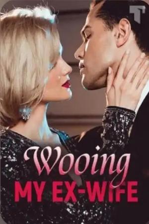 Wooing My Ex-Wife by Mr. Adeel