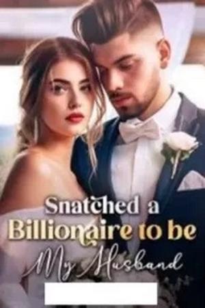 Snatched A Billionaire To Be My Husband by Shabi's pen novel free read ...